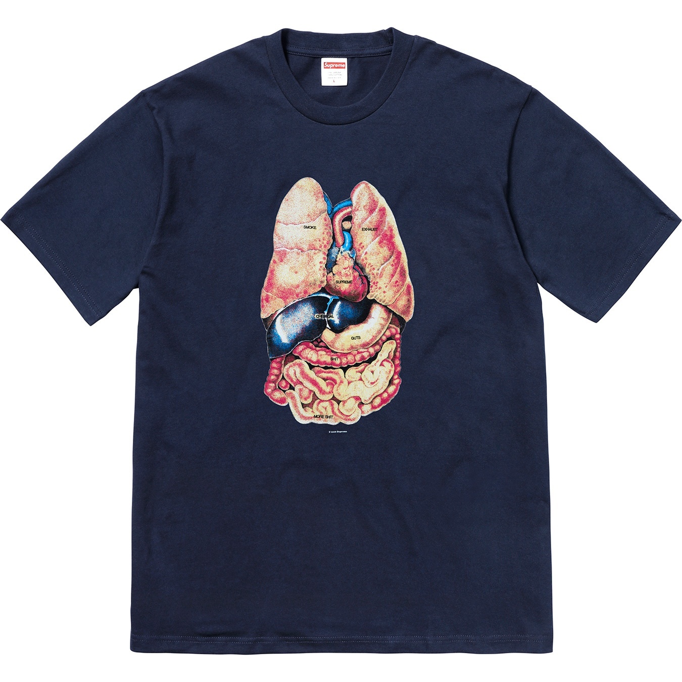 Guts Tee view 10